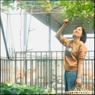 Thu Hằng