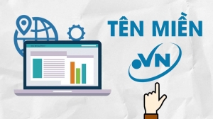 Những điều cần biết về tên miền Việt Nam