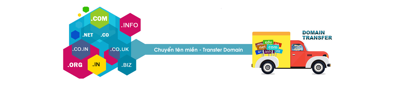 Transfer Domain