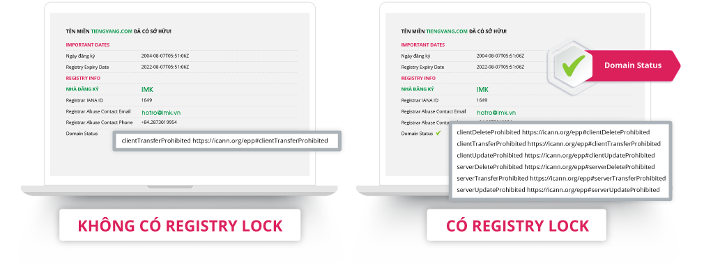 Registry lock domain
